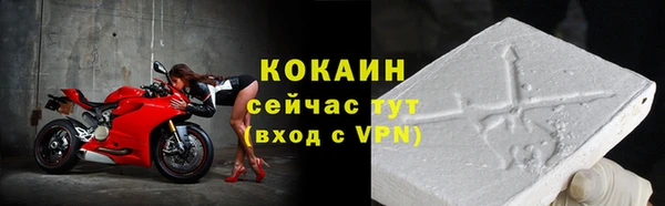 гидра Верхний Тагил