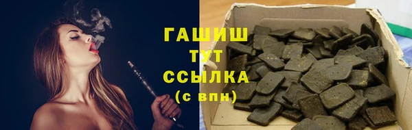 гидра Верхний Тагил