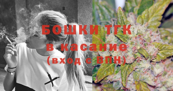 гидра Верхний Тагил